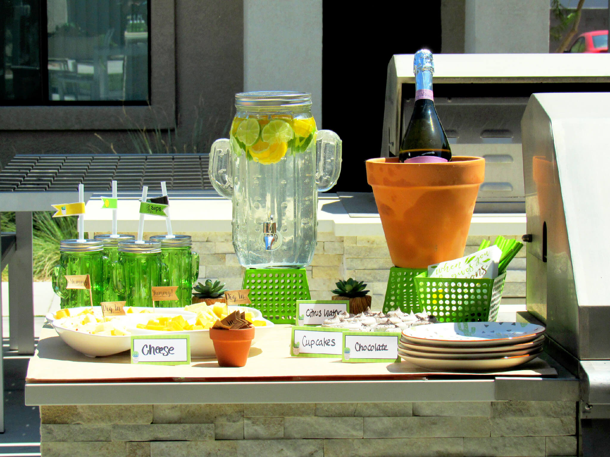 Sips & Succulents: How to Host a Plant and Sip Party - EventOTB